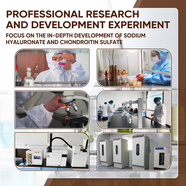 Runxin Cosmetic Grade Sodium Hyaluronate | Verified Puritas & Congruentes Quality